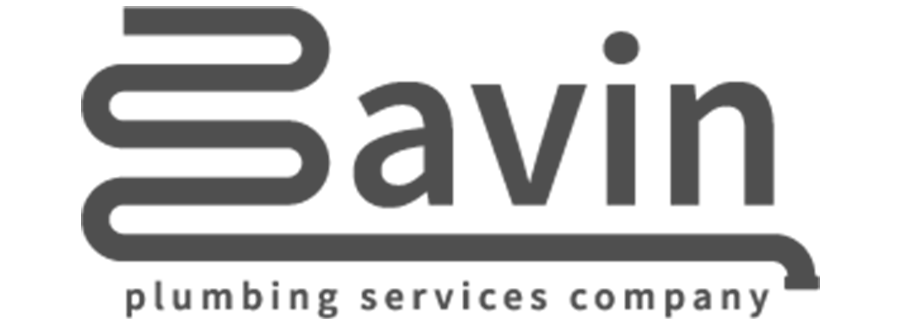 Bavin 1