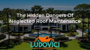 The Hidden Dangers of Neglected Roof Maintenance